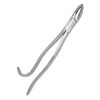 Tooth Forceps (SS)